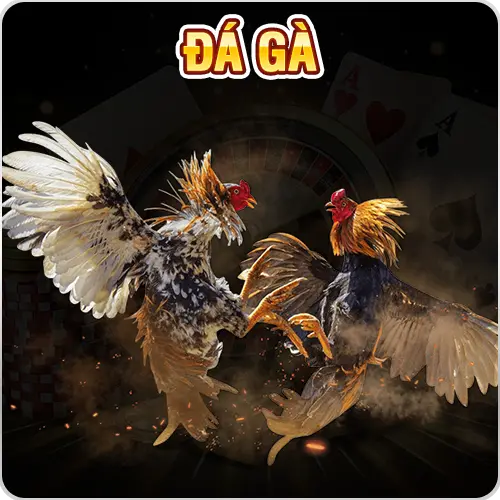 da ga 77win